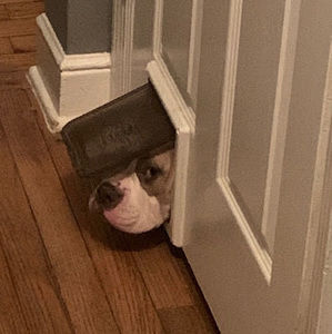 Meet your Posher, Axel